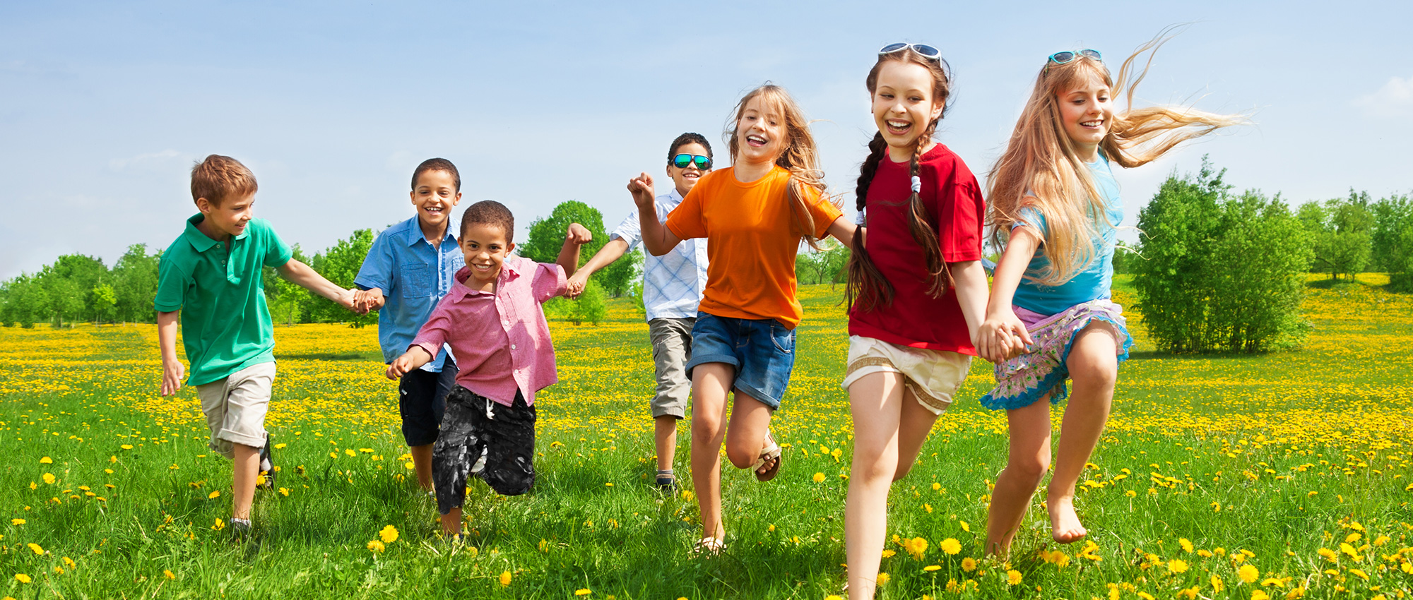 Home Page Banner Image