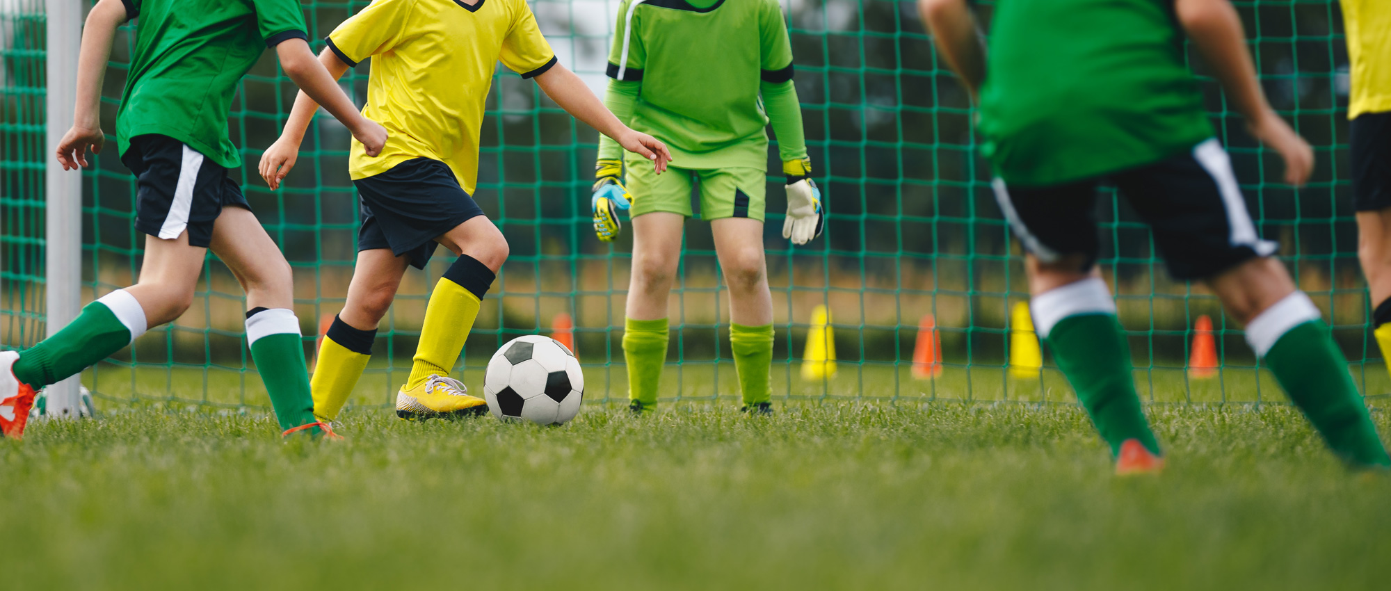 Home Page Banner Image